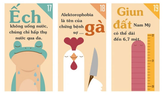 Những sự thật khiến bạn phải đau khổ vì chẳng biết gì về thế giới động vật