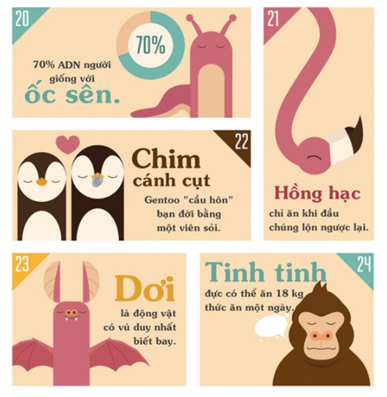 Những sự thật khiến bạn phải đau khổ vì chẳng biết gì về thế giới động vật