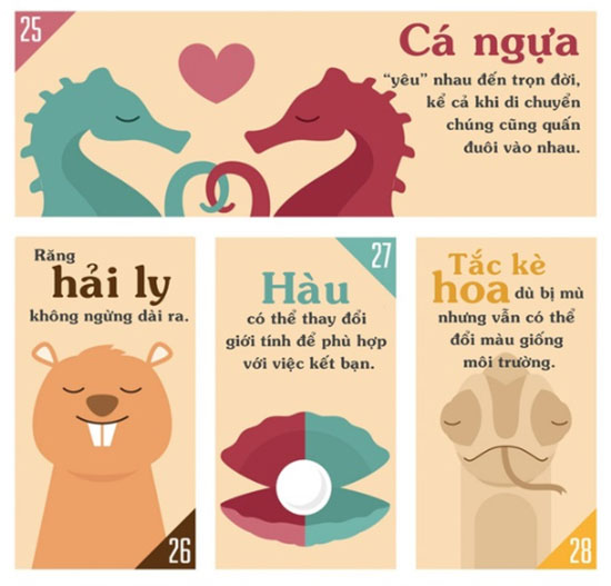 Những sự thật khiến bạn phải đau khổ vì chẳng biết gì về thế giới động vật
