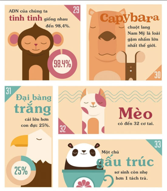 Những sự thật khiến bạn phải đau khổ vì chẳng biết gì về thế giới động vật