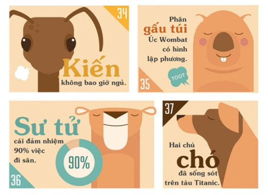 Những sự thật khiến bạn phải đau khổ vì chẳng biết gì về thế giới động vật