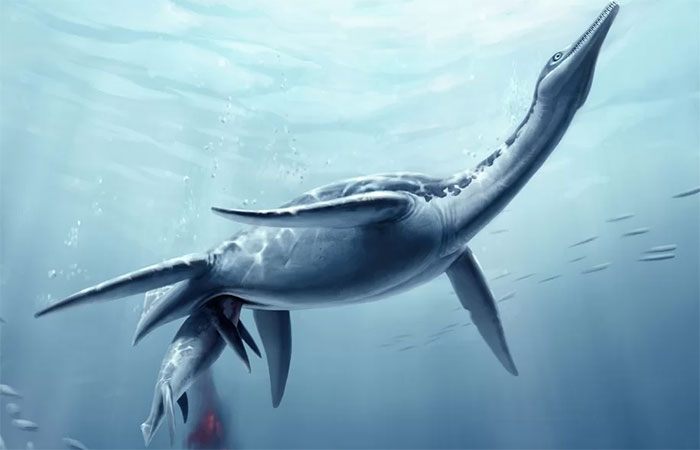 Phát hiện hóa thạch khủng long giống quái vật hồ Loch Ness ngoài đời thực