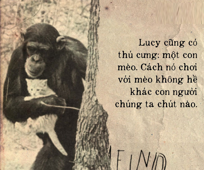 Câu chuyện đau lòng về Lucy, con tinh tinh đã tưởng mình là người