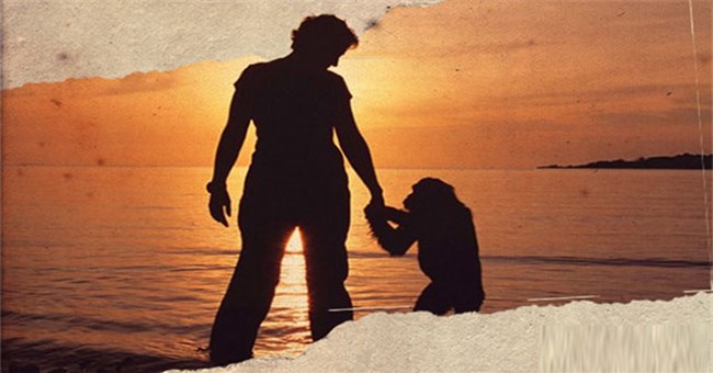 Câu chuyện đau lòng về Lucy, con tinh tinh đã tưởng mình là người