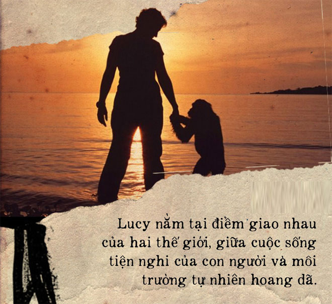 Câu chuyện đau lòng về Lucy, con tinh tinh đã tưởng mình là người