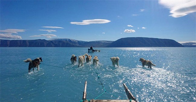 Bức ảnh này là lời cảnh báo "mọi thứ đã quá trễ"?