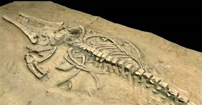 7 bí ẩn lịch sử tưởng như vĩnh viễn không thể giải được, cuối cùng đã có đáp án rồi