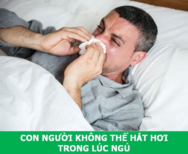 Khám phá những sự thật khoa học đầy thú vị