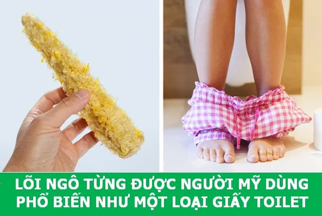 Khám phá những sự thật khoa học đầy thú vị