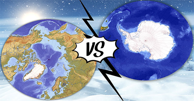 Nam Cực và Bắc Cực khác nhau như thế nào?