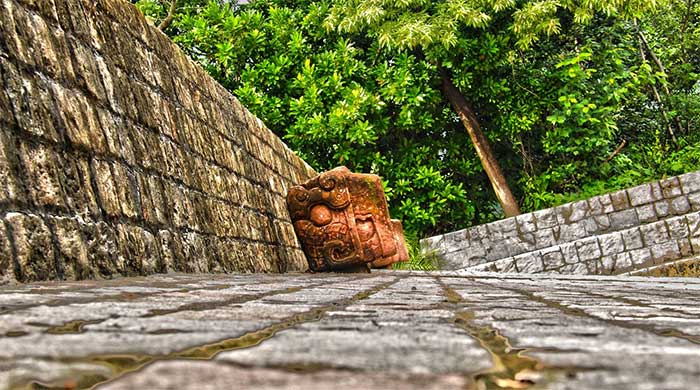 Nhiều loài tuyệt chủng sống dậy ở 