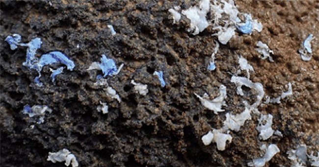 Xuất hiện dạng ô nhiễm hoàn toàn mới của nhựa và nó đang khiến giới khoa học phải đau đầu