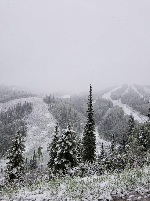 Nhiều khu vực tuyết phủ trắng xóa.