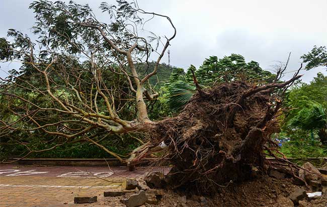 Cảnh ngổn ngang sau bão số 2 trên đảo Cát Bà