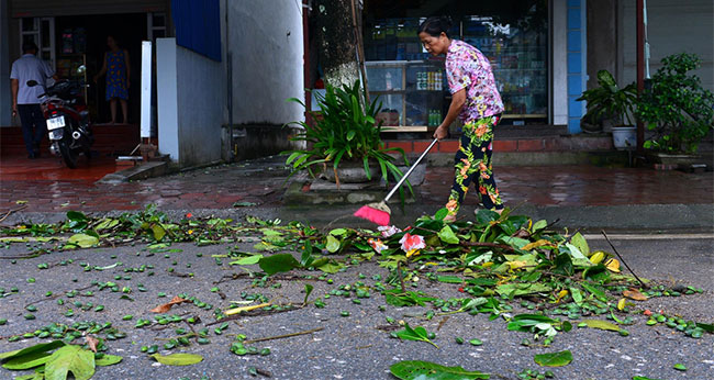 Cảnh ngổn ngang sau bão số 2 trên đảo Cát Bà