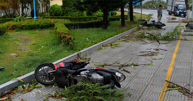 Cảnh ngổn ngang sau bão số 2 trên đảo Cát Bà