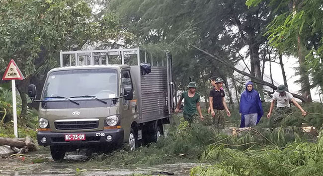 Bão Mun gây mưa lớn, nhiều cây xanh ở Hải Phòng bật gốc