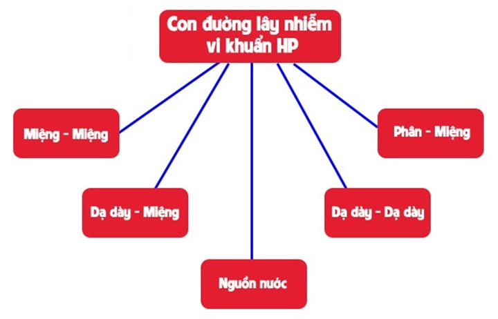 Khi nào vi khuẩn HP gây ung thư dạ dày?