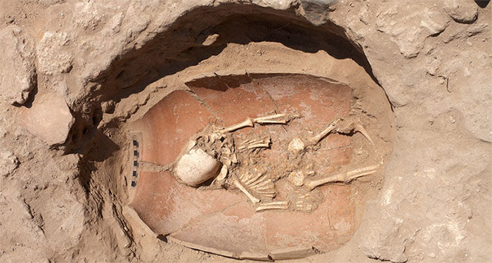 ADN cổ đại tiết lộ nguồn gốc của người Philistines