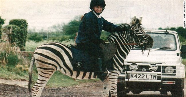 Đâu là lí do sâu xa mà các loài vật được chọn để thuần hóa?