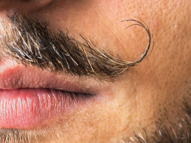 13 sự thật thú vị về ria mép và râu