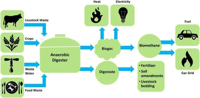 Nhiêu liệu sinh học low-carbon: Nhiều thân thiện môi trường