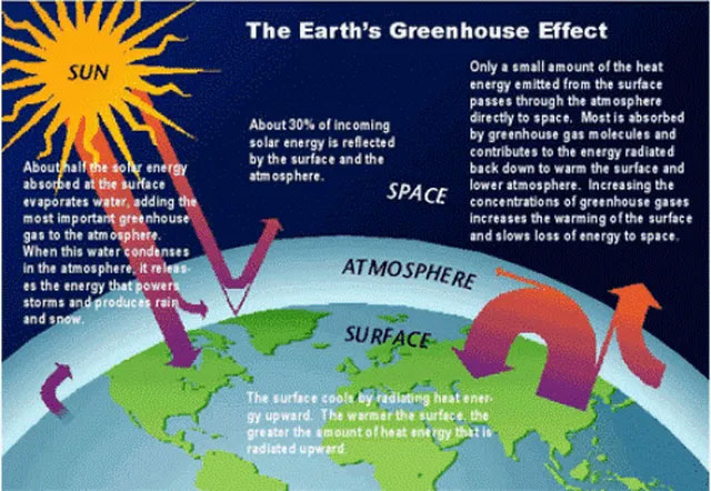 Nhiêu liệu sinh học low-carbon: Nhiều thân thiện môi trường