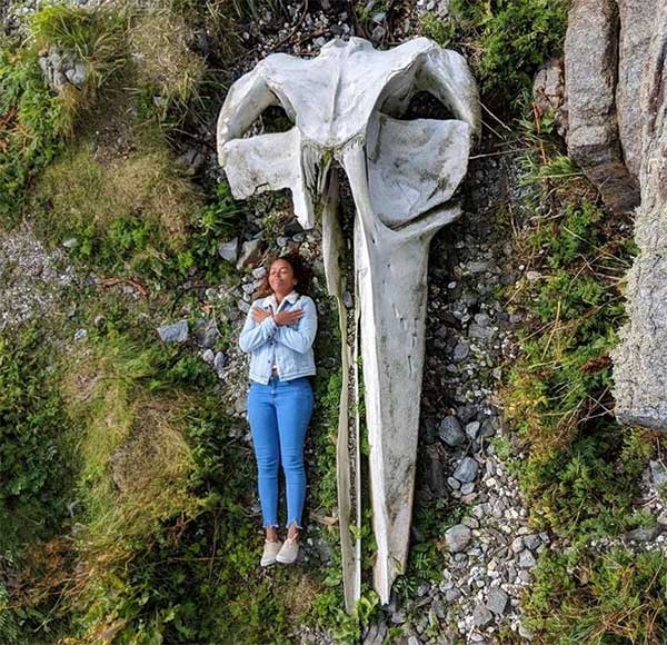 15 sự thật thú vị về động vật không hề có trong sách giáo khoa