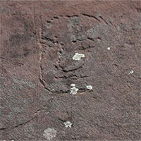 Các nhà khoa học tìm thấy hình Đức Phật khắc trên đá ở Siberia