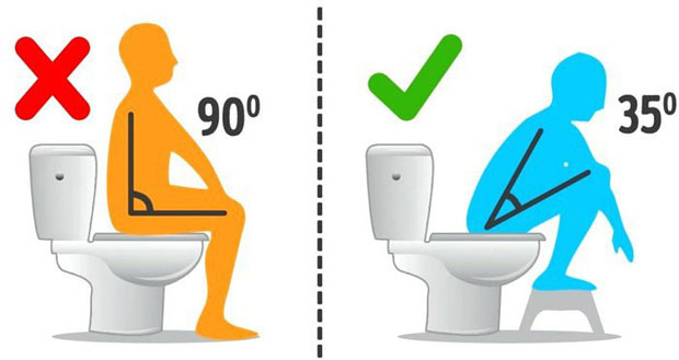 Những câu hỏi thường gặp về thói quen đi đại tiện mà bạn chưa chắc đã biết rõ
