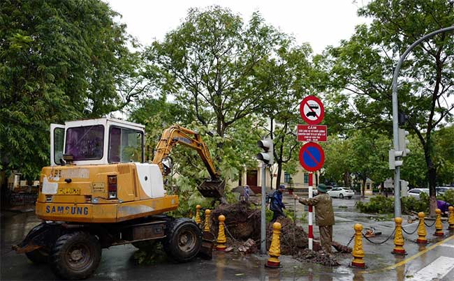 Cây đổ hàng loạt ở Hà Nội, Hải Phòng sau bão Wipha
