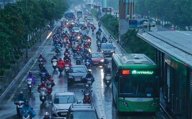 Cây đổ hàng loạt ở Hà Nội, Hải Phòng sau bão Wipha