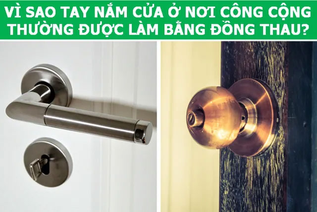 Có những thứ là hiển nhiên nhưng liệu bạn có biết “tại sao lại thế?”