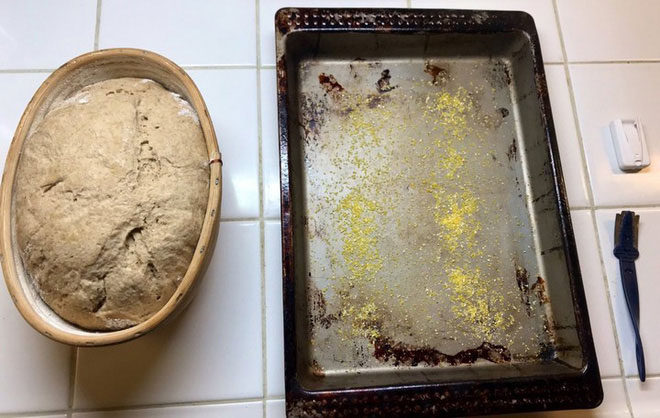Với loại men ủ 4500 năm, nhà khoa học thử chế biến thành công với món bánh mì nướng cực ngon