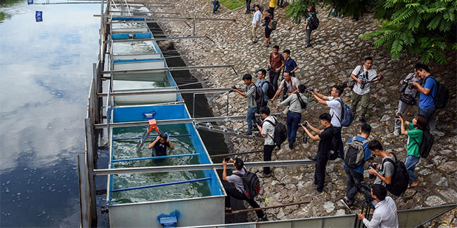 Người Hà Nội ngỡ ngàng khi chuyên gia Nhật Bản tắm trên sông Tô Lịch