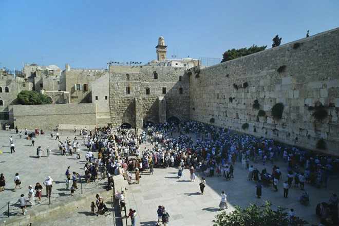 Đàn cáo tại thánh địa Jerusalem gây xôn xao về lời tiên tri