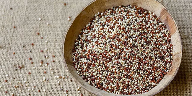 Quinoa là gì? Lợi ích vàng của quinoa đối với sức khỏe