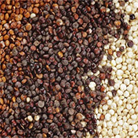 Hạt Quinoa là gì? Lợi ích vàng của hạt quinoa đối với sức khỏe