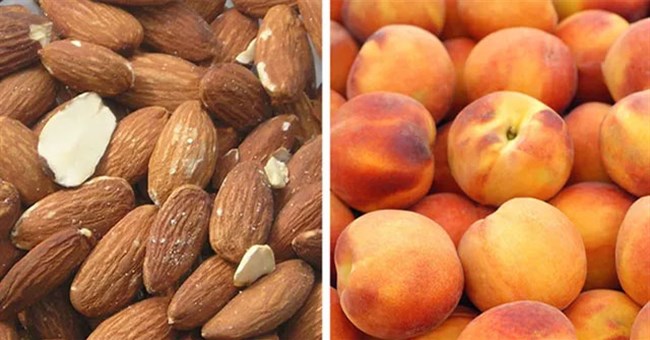 Đi từ ngạc nhiên này đến ngạc nhiên khác với những điều lý thú về vạn vật