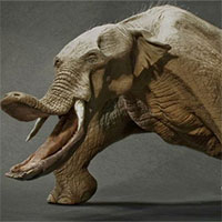 Sự thật là tổ tiên của voi và tê giác cổ đại có vẻ ngoài "quái dị" hơn ngày nay nhiều!