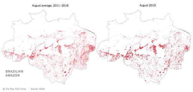 The New York Times: Phân tích ảnh vệ tinh đã chỉ ra chính xác thủ phạm gây cháy rừng Amazon