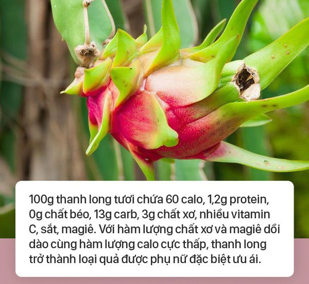Điều tối kỵ khi ăn thanh long ai cũng nên biết để tránh rước bệnh vào thân
