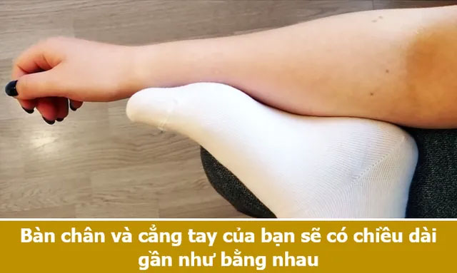 Loạt sự thật thú vị giải đáp những thắc mắc muôn thuở của chính bạn!