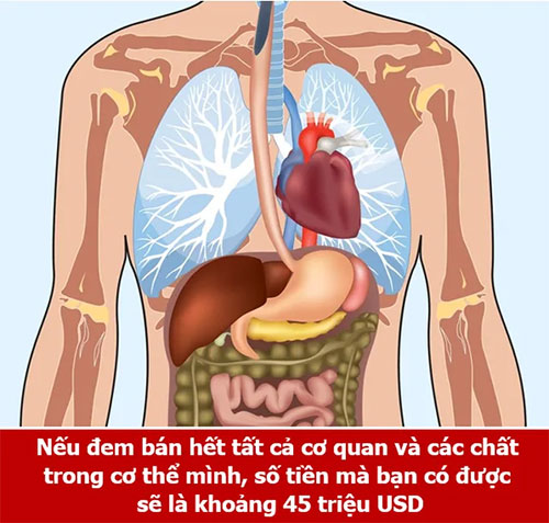 Loạt sự thật thú vị giải đáp những thắc mắc muôn thuở của chính bạn!