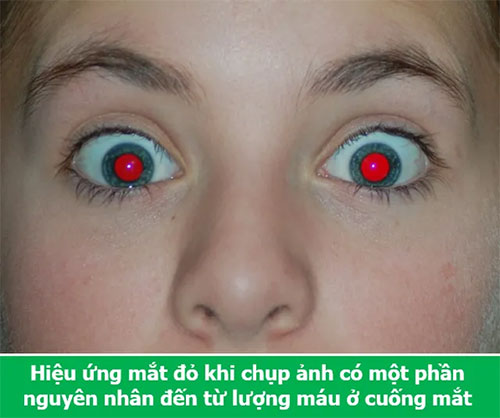 Loạt sự thật thú vị giải đáp những thắc mắc muôn thuở của chính bạn!