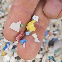 73.000 mảnh nhựa đi vào cơ thể người mỗi năm