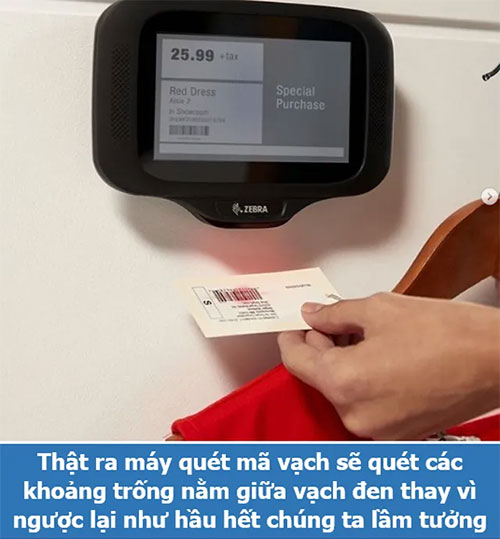 Loạt sự thật thú vị giải đáp những thắc mắc muôn thuở của chính bạn!