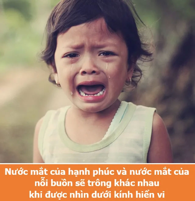 Loạt sự thật thú vị giải đáp những thắc mắc muôn thuở của chính bạn!