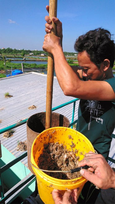 Sử dụng bùn ao và chất thải, các nhà khoa học tạo ra hệ thống sản xuất điện hiệu quả nhất