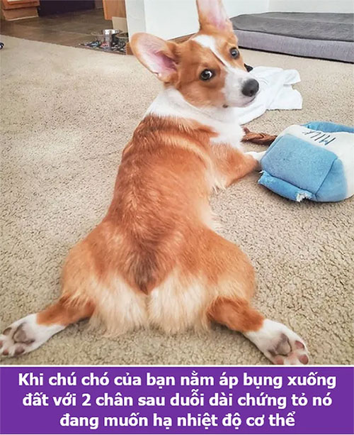 Loạt sự thật thú vị giải đáp những thắc mắc muôn thuở của chính bạn!
